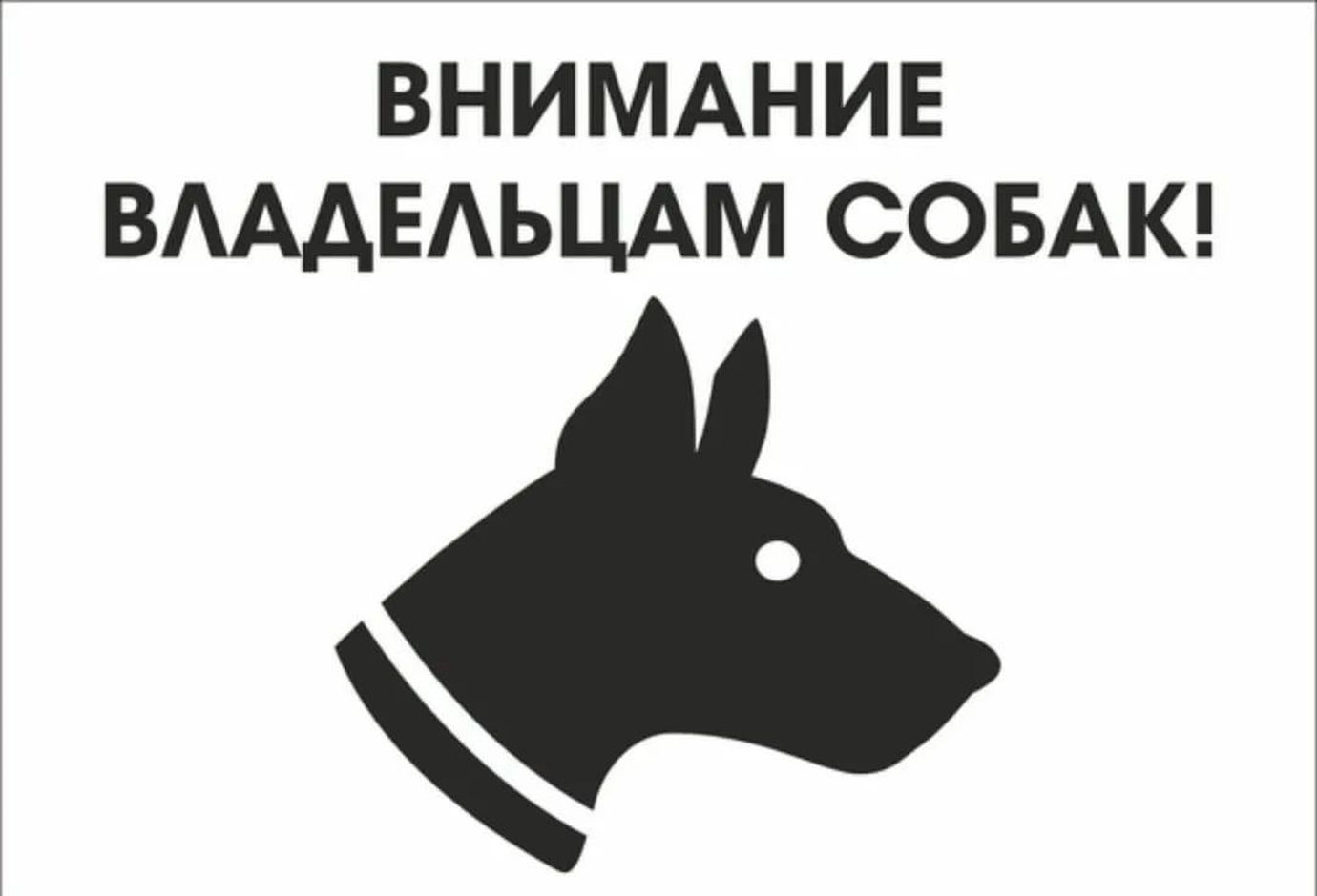 Внимание владельцам собак — Администрация городского поселения «Город  Краснокаменск»